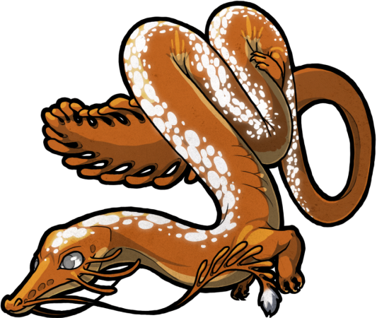 File:Selm Adult Orange.png